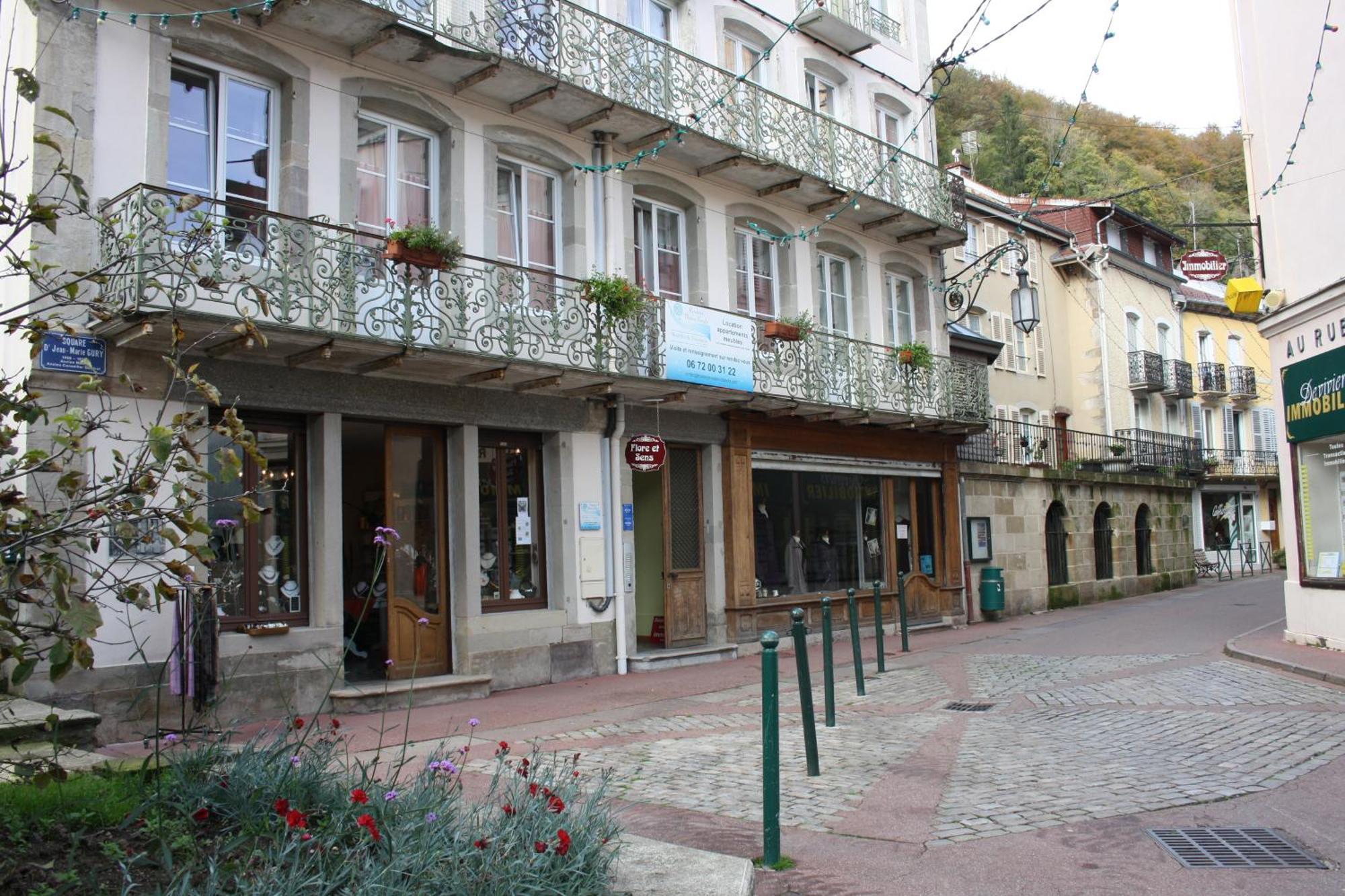 Residence Maison Blanche Plombières-les-Bains Exterior photo